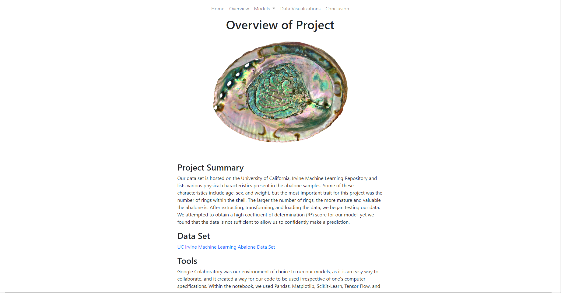 project name